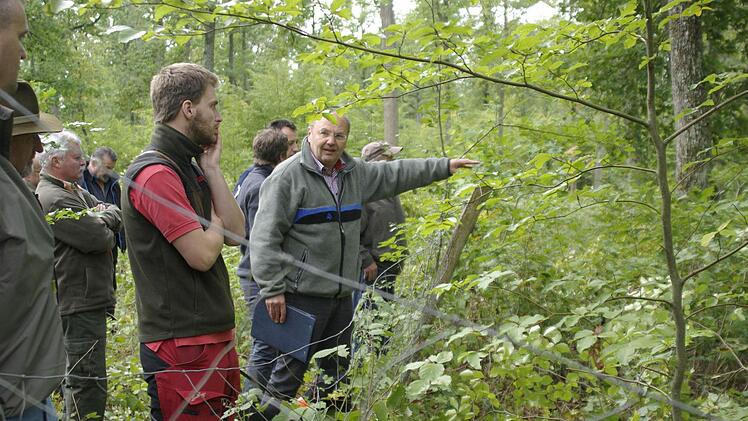Zäune zum Schutz vor Wildverbiss sollen im Gemeindewald nur dann erstellt werden, wenn keine anderen Mittel helfen. Dieser Ansicht ist auch Forstoberrat Bernhard Zürner (Mitte). Foto: Winfried Ehling