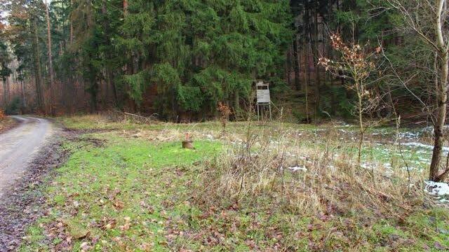 Hier im Weipelsdorfer Wald soll ein Tiefbrunnen ausgebaut werden.