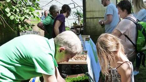 Anne Kurlemann topfte mit Kindern Salatpflanzen ein.