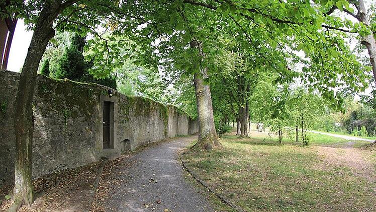 Der Jörgentorpark soll Bestandteil einer Freizeitanlage entlang der Stadtmauer werden. Dabei ist eine hohe Förderung möglich. Jetzt wurden erst einmal die Spielgeräte vorbehaltlich der Förderung vergeben.  Fotos: Thomas Malz