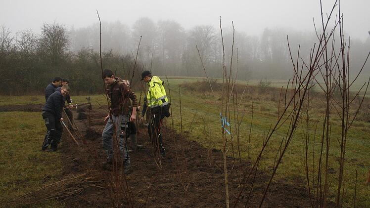 Das Klassenzimmer mit der freien Natur tauschten jüngst 20 Landwirtschaftsschüler bei einem Projekt des Landschaftspflegeverbands bei Großwalbur. Foto: Martin Rebhan