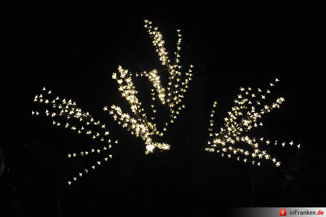 Impressionen der Museumsnacht Coburg