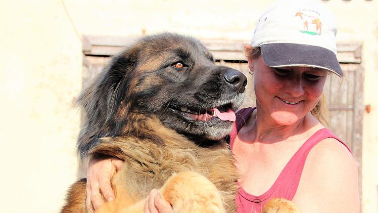 So groß und so anhänglich: Anton, der große Hofhund, liebt Frauchen Valeska Roos.