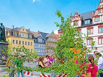 95 Birkenzweige hatten die Mitarbeiter des städtischen Grünflächenamtes auf den Markt gebracht. Die Coburger Geschäftsleute konnten sich am Dekomaterial für ihre Eingangstüren bedienen. Foto: Ulrike Nauer