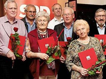 Die Jubilare der Adelsdorfer SPD (von links): Sebastian Zöbelein, Hans Zenger, Frieda Haagen, Martin Schwenk, Klaus Keil, Elisabeth Popp und Paul Gütle Foto: Johanna Blum