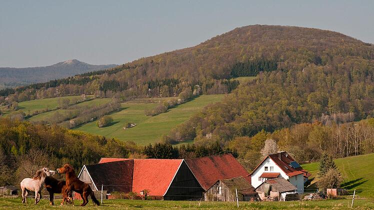 Die Oberbacher Ziegelhütte. Dort weiden Islandpferde.  Jürgen Hüfner