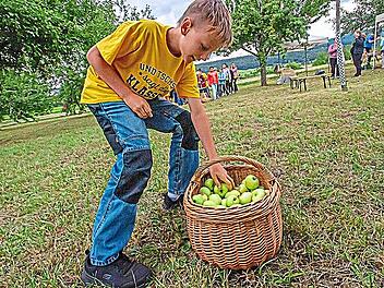 Kirchehrenbacher Kinder erkunden Streuobstwiesen