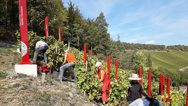 Am "Terroir f" sollen Paare nun auch heiraten k&ouml;nnen. Foto: Archiv/Andreas Lomb