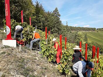 Am "Terroir f" sollen Paare nun auch heiraten können. Foto: Archiv/Andreas Lomb