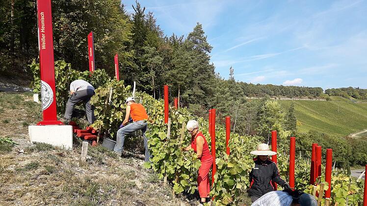Am "Terroir f" sollen Paare nun auch heiraten können. Foto: Archiv/Andreas Lomb