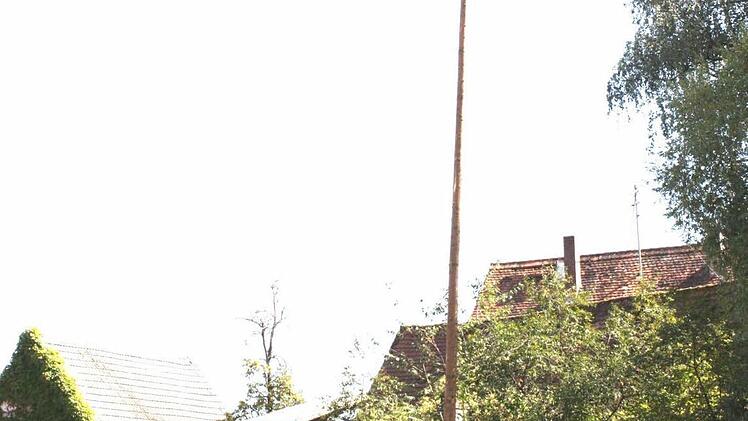 Die Kirchweihfichte steht im Weiher.