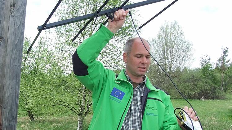 Torsten Kirchner ortet eines der Tiere, die mit Peilsender versehen sind. Foto: Marion Eckert