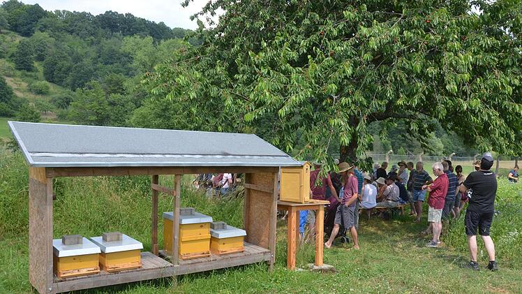 Wer außer Bienen besucht noch die Bienenweide an Auras altem Wasserwerk? Das erkundeten die jüngsten Besucher einer Gemeinschaftsveranstaltung von Bund Naturschutz und HOBOS. Foto: Peter Rauch