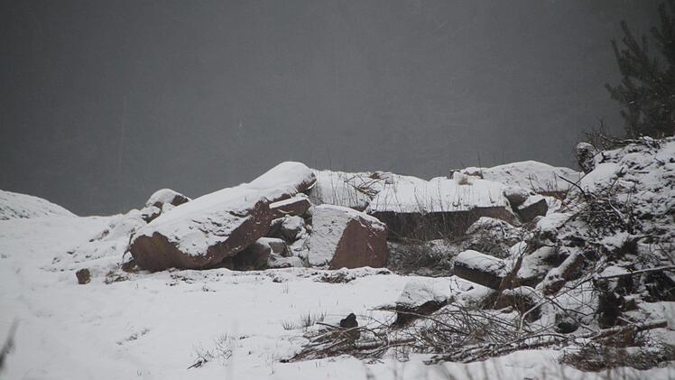 Seine Anschreiben an die Gemeindeverwaltung und das Landratsamt blieben bisher erfolglos.  Foto: Ulrike Müller
