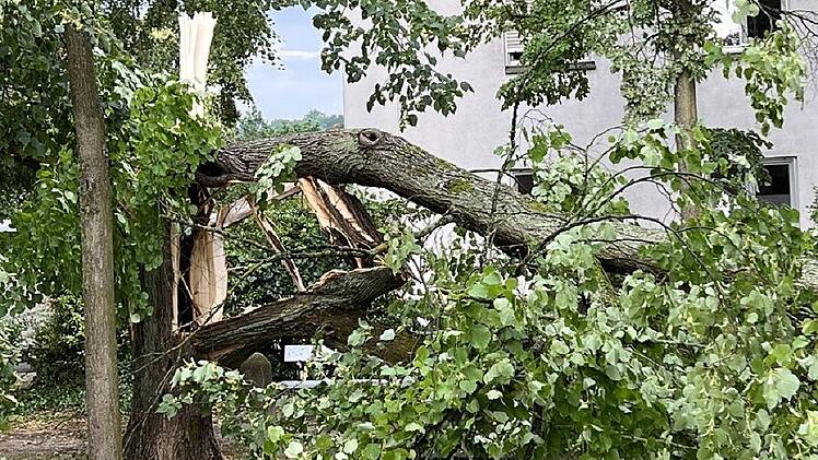 Bamberg: Heftiges Gewitter hinterlässt "Spur der Verwüstung" - etliche umgestürzte Bäume