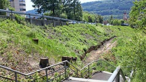Entlang der Albert-Schweitzer-Straße sind bereits die Bäume gefällt worden. Ob das Parkhaus beim Fußweg zum Klinikum aber gebaut werden darf, entscheidet der Bayerische Verwaltungsgerichtshof. Foto: Stephan Tiroch