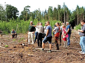 Ein Windwurf sorgte für diese Kahlfläche, auf der die Teilnehmer des Waldgangs stehen. Dahinter ist die Naturverjüngung zu erkennen.  Fotos: gg