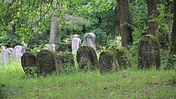 Blick in den Jüdischen Friedhof in Ebern Fotos: Helmut Will