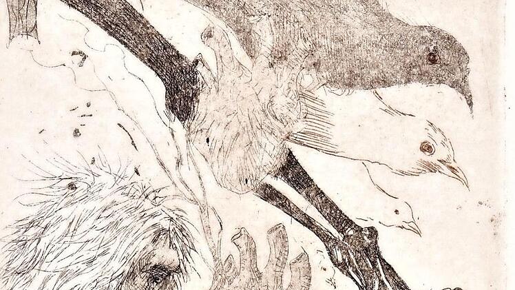 Giacomo verliert die Kontrolle &uuml;ber sich. Die V&ouml;gel stehen f&uuml;r seinen Hass. Wie es mit ihm endet, deutet die Todeskralle an.