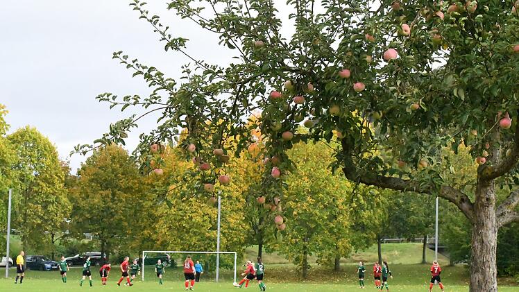 Herbststimmung beim Frauenfußballspiel des SV Langendorf gegen den FFC Bastheim. Foto: Hopf