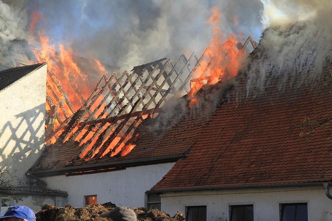 Brand in Schweinestall in Herzogenaurach