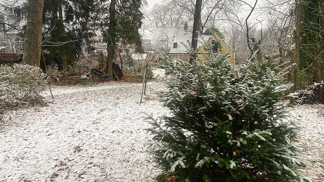 Schneegestöber und erste Schlittenfahrten: Winterliches Wetter in Mittelfranken