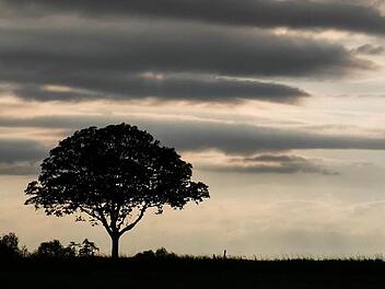 Wetter in Franken: Experte widerspricht Hitzeprognosen