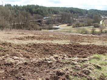 Wildschweine haben auf der Suche nach Nahrung diese Brache im Tal durchwühlt.Heike Beudert