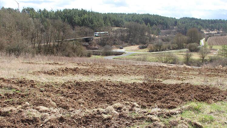Wildschweine haben auf der Suche nach Nahrung diese Brache im Tal durchwühlt.Heike Beudert