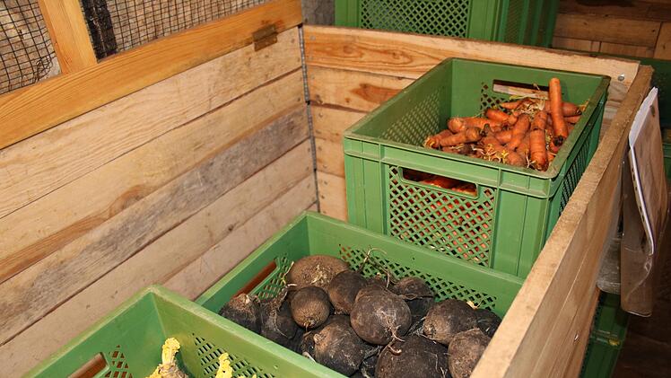 Das geerntete Gem&uuml;se wird im Keller f&uuml;r die Abholer gelagert. Mirjam Stumpf