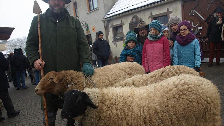 Martin Steuerwald mit Schafen