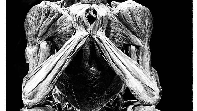 Die Ausstellung "Körperwelten - eine Herzenssache" wird noch bis zum 11. Februar im Quelle-Areal in Nürnberg gezeigt. Foto: Matthias Hoch