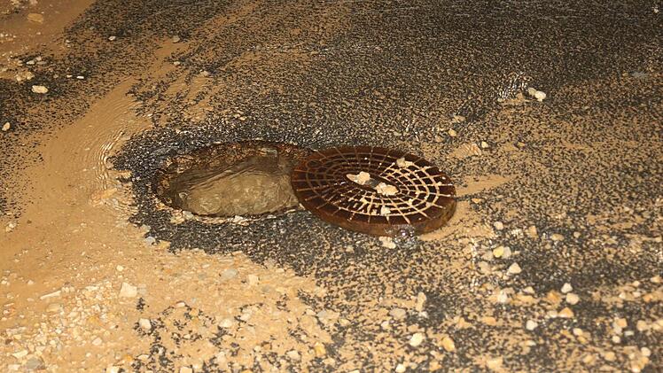 Fotos: Michael Stelzner