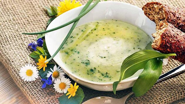 fruehlingskraeutersuppe.jpg