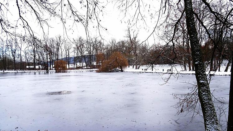 Winterimpressionen: Schwanenensee im Park von Schloss Rosenau.Foto: Jochen Berger
