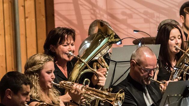 In der Region gibt es viele leistungsf&auml;hige Blasorchester - vom Musikverein Beiersdorf &uuml;ber die Blaskapelle Meeder (Foto) bis zum Musikverein Stadt R&ouml;dental. Der  Nordbayerische Musikbund hat nun angeregt, ein "Stadt-Kreis-Orchester Coburg" zu gr&uuml;nden - mit finanzieller Unterst&uuml;tzung des Landeskreises.Foto: Archiv/Jochen Berger
