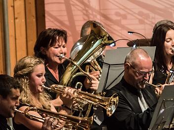 In der Region gibt es viele leistungsfähige Blasorchester - vom Musikverein Beiersdorf über die Blaskapelle Meeder (Foto) bis zum Musikverein Stadt Rödental. Der  Nordbayerische Musikbund hat nun angeregt, ein "Stadt-Kreis-Orchester Coburg" zu gründen - mit finanzieller Unterstützung des Landeskreises.Foto: Archiv/Jochen Berger