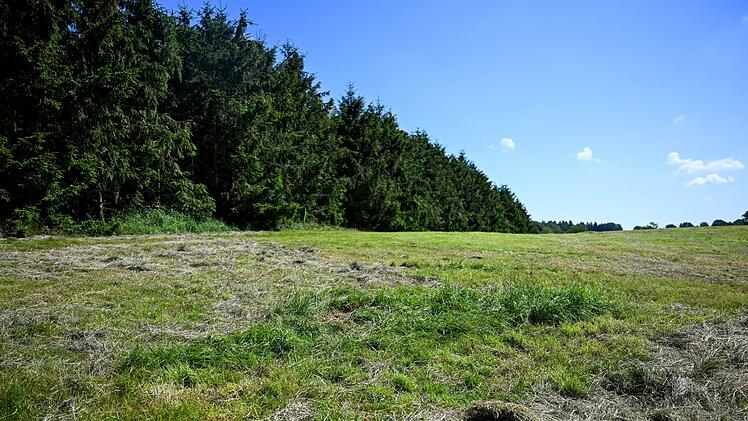 Vermisstensuche nimmt tragisches Ende: Arian (6) tot aufgefunden