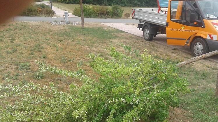Foto: Gemeinde Zapfendorf
