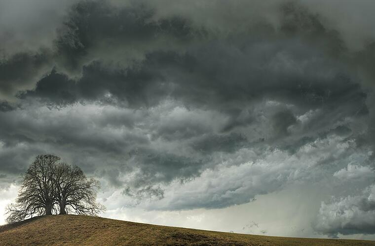 Sturm-Bilanz: Regenfluten und Sturmböen in Franken - DWD kündigt weitere Unwetter an - Vimarsana News