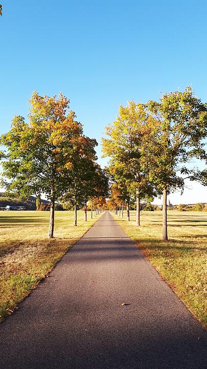 Die schönsten Fotos im Herbst aus Schweinfurt und Umgebung