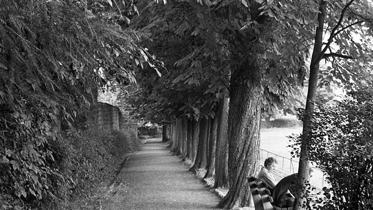 In der Walk-Strasser-Anlage