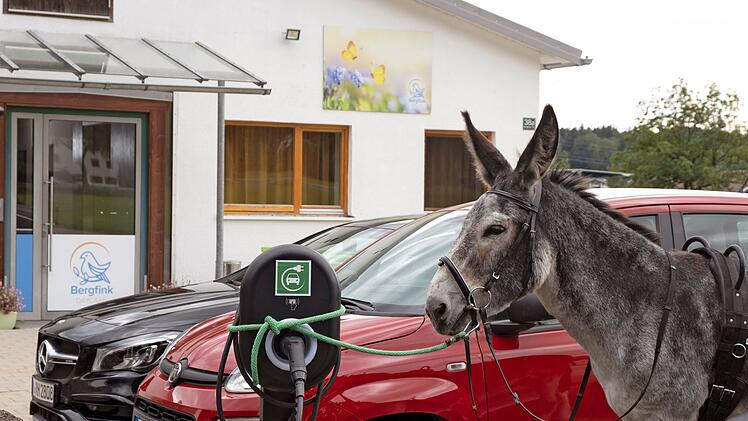 Weil Nikos und Marie sein Auto haben, reist Hartmut kurzerhand "per Esel".