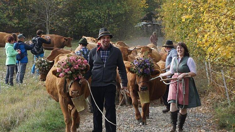 Angeführt von Andreas Omert mit Kuh Sandra und Nadine Manger mit Kuh  Franziskas kam die Mangersche Gelbviehherde ins Tal. Fotos: Marion Eckert