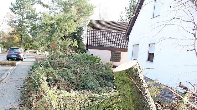 Die Sch&auml;den durch "Sabine" hielten sich in Grenzen. Im Raum H&ouml;chstadt wurde nur ein abgeknickter Baum in der Tilman-Riemenschneider-Stra&szlig;e bei der Polizei aktenkundig. Fotos: Andreas Dorsch