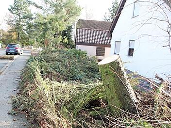 Die Schäden durch "Sabine" hielten sich in Grenzen. Im Raum Höchstadt wurde nur ein abgeknickter Baum in der Tilman-Riemenschneider-Straße bei der Polizei aktenkundig. Fotos: Andreas Dorsch