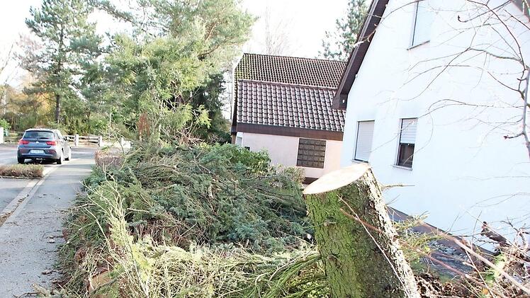 Die Schäden durch "Sabine" hielten sich in Grenzen. Im Raum Höchstadt wurde nur ein abgeknickter Baum in der Tilman-Riemenschneider-Straße bei der Polizei aktenkundig. Fotos: Andreas Dorsch