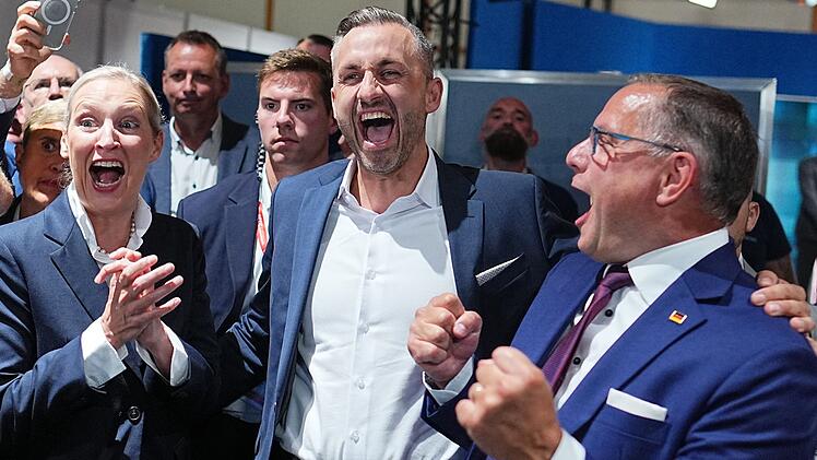 Landtagswahl in Sachsen-Anhalt - AfD
