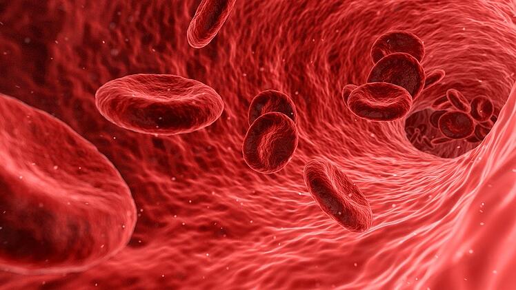 Ein starkes Immunsystem ist Voraussetzung für die Wirkung von mRNA-Impfstoffen.