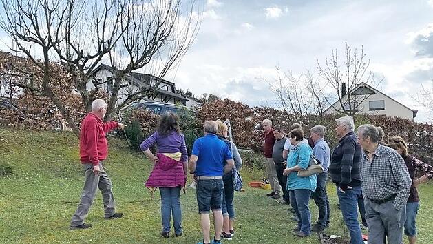 15 Interessierte besuchten den Baumschnittkurs des Obst- und Gartenbauvereins (OGV) Steinberg. Dort gab es praktische Anleitungen rund um das Thema Obstgeh&ouml;lzschnitt. Foto: hs